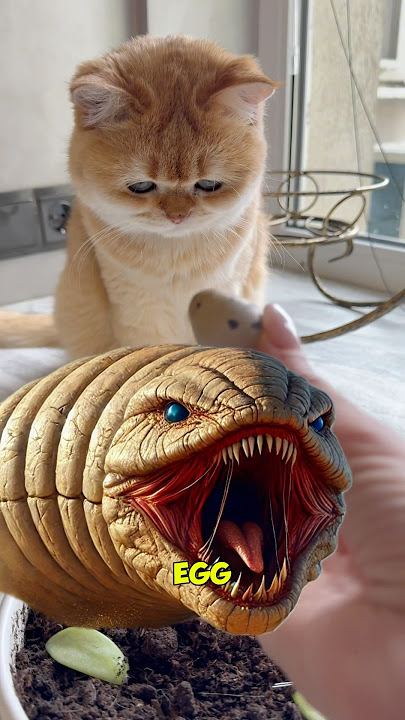 A sand worm…in real life? #cat #horror #sandworm