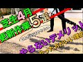 【芝生】春にやるべき更新作業!5つ厳選!やらないデメリットを詳しく解説