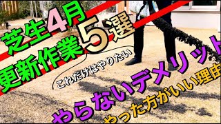 【芝生】春にやるべき更新作業つ厳選やらないデメリットを詳しく解説