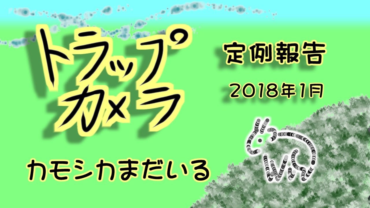 アライグマ 洗う 定例トラップカメラ報告 2018年1月 カモシカまだいる