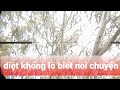 đi săn gặp diệt khổng lồ biết noi chuyen