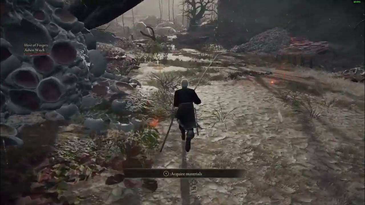 Elden Ring Seamless coop torrent bug. YouTube