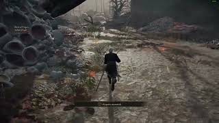 Elden Ring Seamless coop torrent bug.