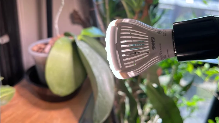 Maximizing Plant Growth: A Review of Sanzi's Tri-Directional Grow Light