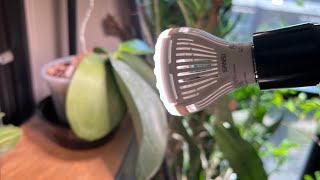 Maximizing Plant Growth A Review Of Sanzis Tri-Directional Grow Light