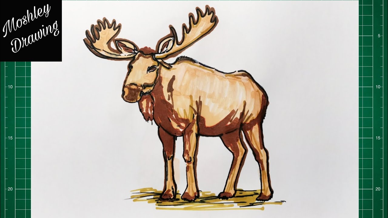How to Draw a Moose - YouTube