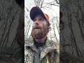 Afternoon hunt
