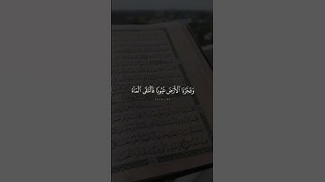 اكتب شيء تؤجر عليه❤️ #آيات #quran #ايات_قرانيه_قصيره #اجر_لي_ولك #قران_كريم #راحة_نفسية#quran_kareem