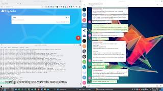 Skycoin BBS Development Stream 1