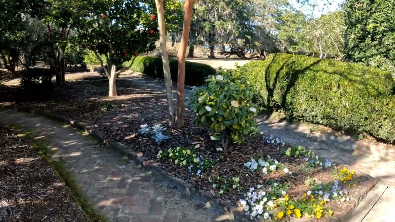 Boone Hall Plantation Orchard