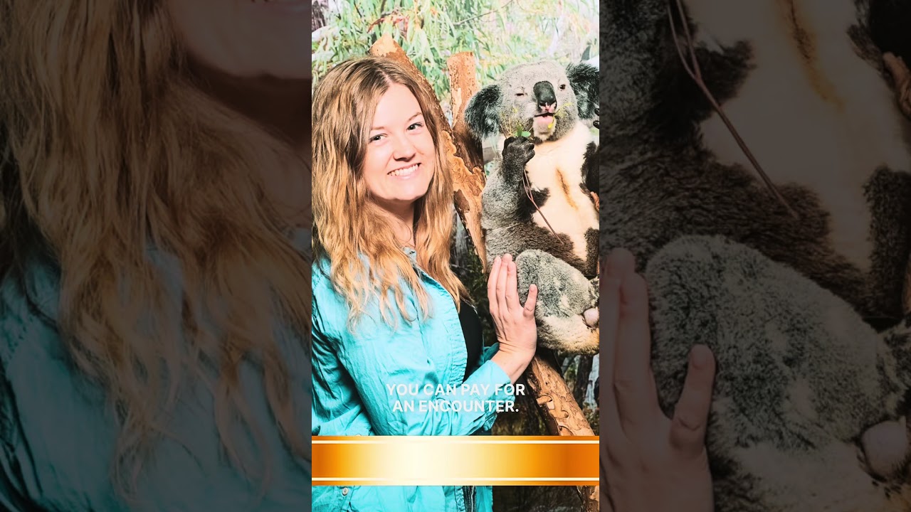 Inside Sydney's Most Adorable Animal Park!