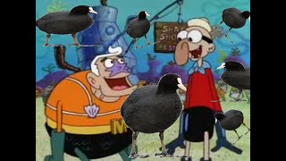 YOU OLD COOT