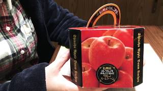 信州産ふじりんごをまるごと包んだ『りんごバームクーヘン』食べてみた！