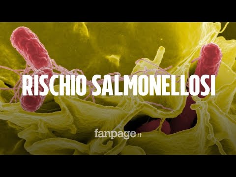 Video: Quale cibo provoca la salmonella?