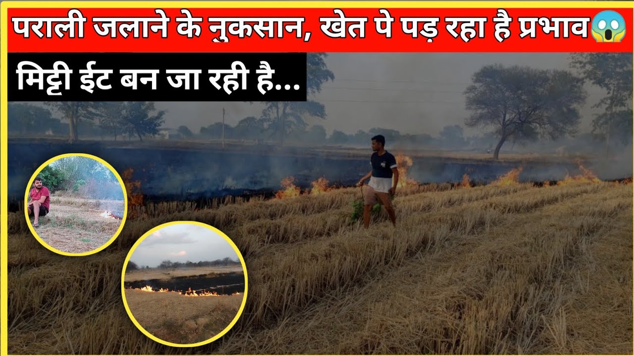 जिसको गलाना था उसे जलाया 🔥 जा रहा है!! मिट्टी तो ईट बन गई 😯!! खेत में🔥! !@IndianAgriculture20