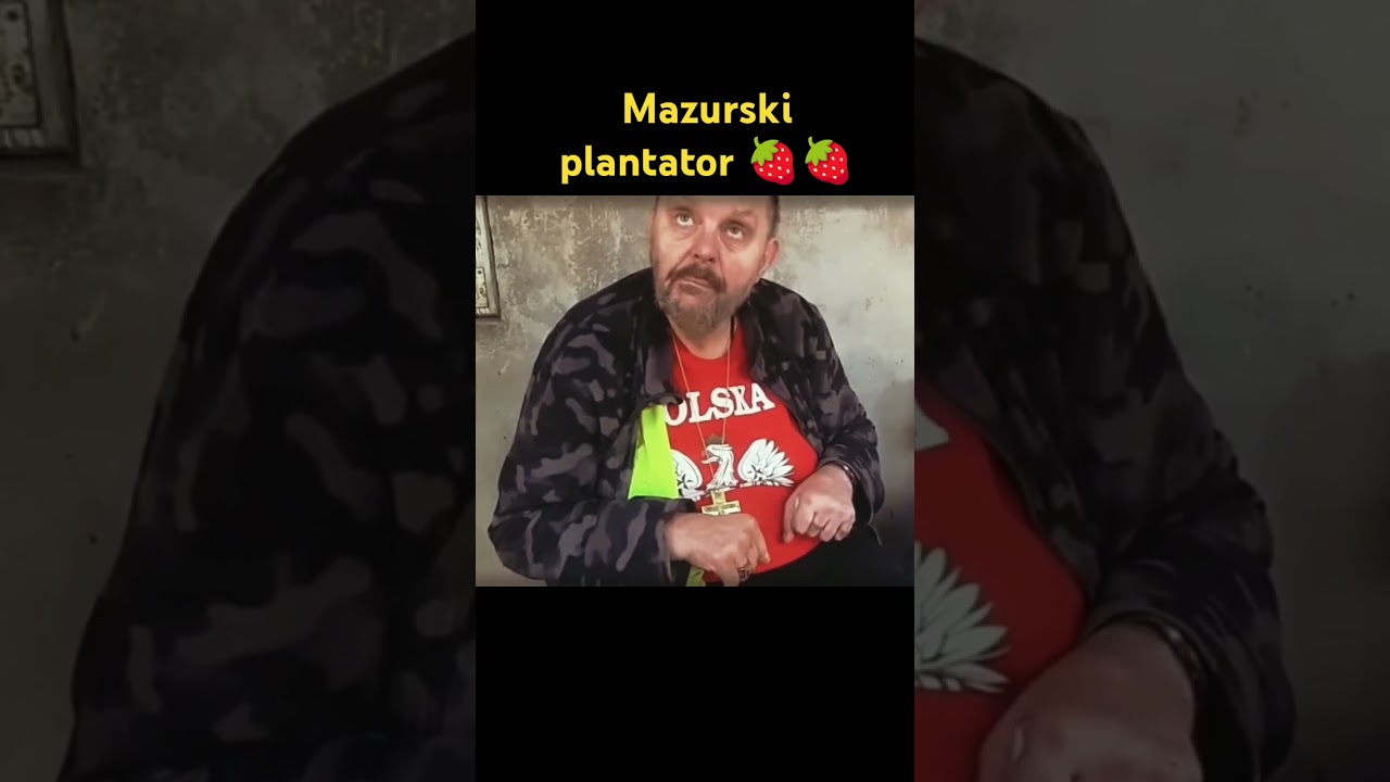 Mazurski plantator🍓🍓🍓 