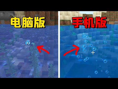 我的世界：Java对比基岩版有哪些你不知道细节？