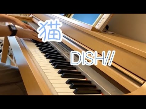 猫-DISH// 弾いてみた 【ピアノ】
