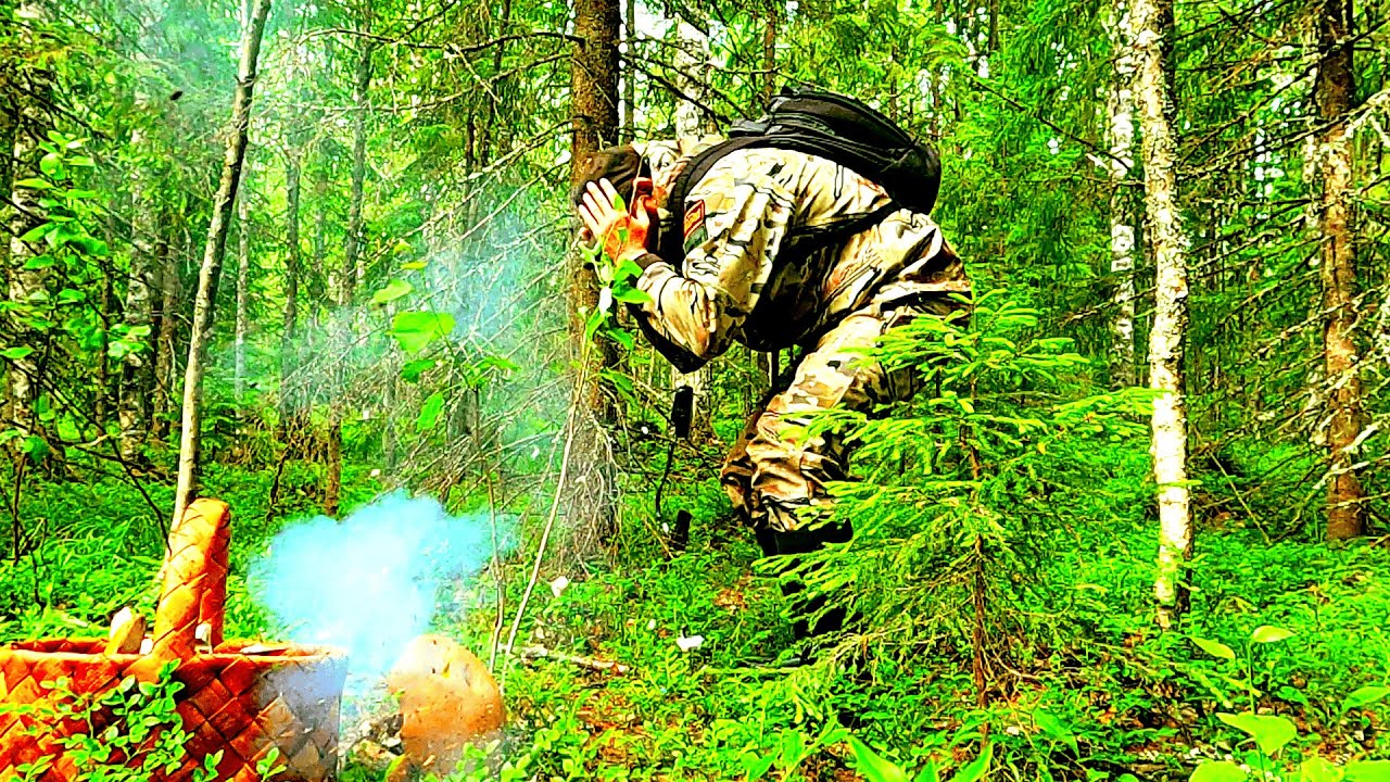 Грибник зашел в ГЛУХОЙ ельник и ОБАЛДЕЛ! Один в Лесу такого не ожидал! Грибы и лес Сказочная Карелия