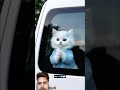 #cat #pets #kitten #funny #music #song #banglasong #petpad #catvideos #avengers