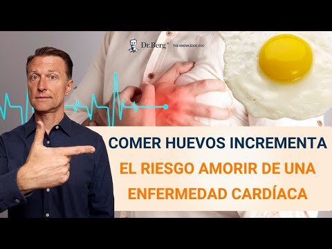Dr. Eric Berg - Canal oficial en español