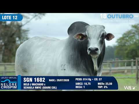 LOTE 12 SGN 1682