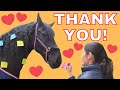 A special thanks to you! From Queen👑Uniek, Yvonne and Rinske. Friesian Horses.