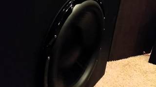 HS24 Excursion -Bass I Love You