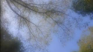 Download Lagu NEW GVME - KARENA ADA KO (Lirik dan Terjemahan) MP3