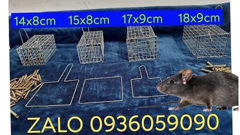 Bán lồng bẫy chuột đường mòn. Bán lồng bẫy chuột đàn. Bán lồng bẫy chuột đồng. Lò xo bẫy chuột.