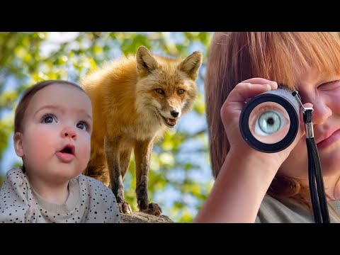 WE FOUND A FOX!!  Family Trip to the Mountains with Adley Niko & Navey! Cabin Vacation with Animals