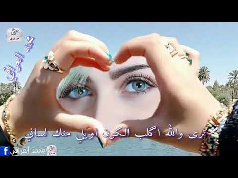 ضروري اليوم نتشاوف احس الشوك اذاني