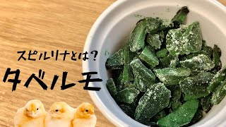 【タベルモ】話題のスーパーフード！スピルリナとは？