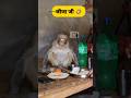 जीजा जी #funny #shilpisaroja #thetharpuns #comedy