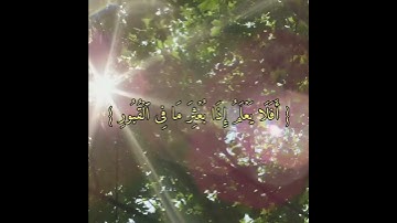 (أفلا يعلم إذا بعثر ما في القبور) _ القارئ عبدالرحمن مسعد _ تلاوة مبكية