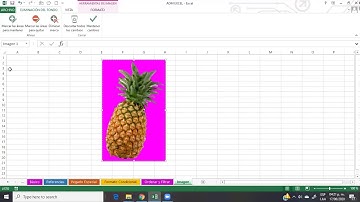 Quitar fondo, recortar y efectos de imágenes en excel