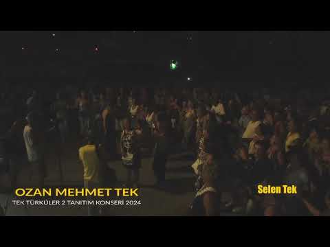 Selen Tek / Halay