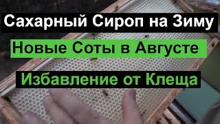 Пасека #91 Сахарный сироп на зиму | новые соты | Избавления от клеща и прочих болезней |Пчеловодство