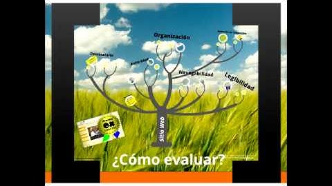 Evaluación de Sitios Web_MGLM