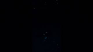 Il-prinċep tal-Danimarka l-ishma pranzu mal-ħbieb