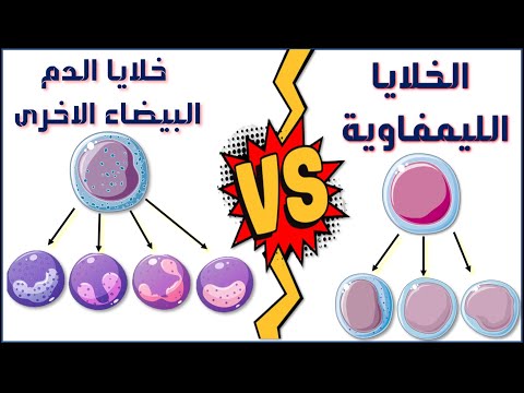 الخلايا الليمفاوية و خلايا الدم البيضاء الاخرى فى 13 دقيقة 👌_المناعة فى الانسان - احياء تالتة ثانوى