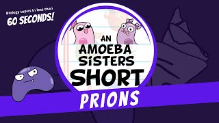 Prions - Amoeba Sisters #Shorts
