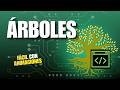 ¿Qué es un ÁRBOL en PROGRAMACIÓN? | Conceptos básicos, características, tipos y operaciones