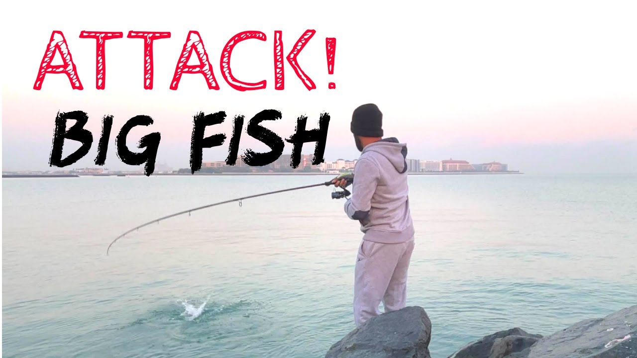 Big Fish Attacked On My Favorite Multi Color Lure | Fishing in Dubai Beach |Shore Fishing (മലയാളം)