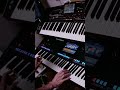 Piedone Movie Sondtrack Mix I Live Synth Performance