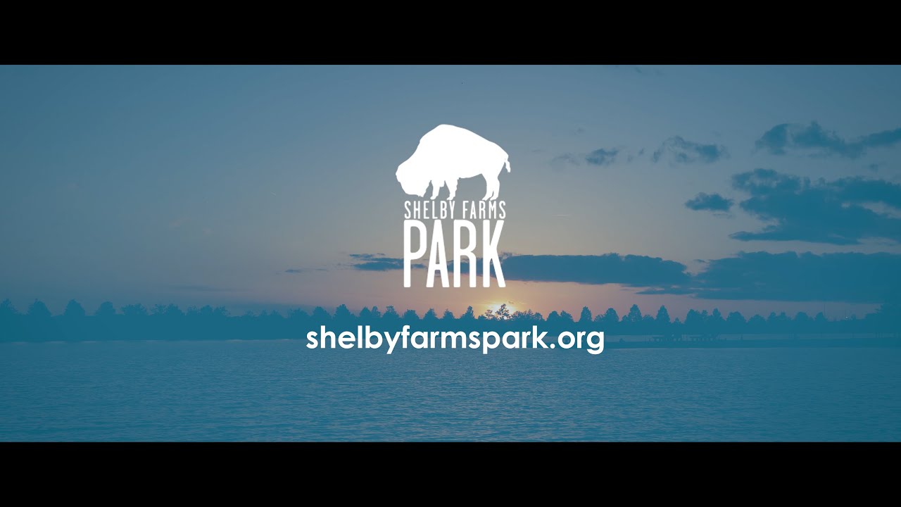 Shelby Farms Park: A Day In The Life