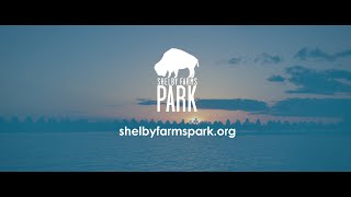 Shelby Farms Park: A Day In The Life
