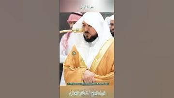 تلاوة خاشعة 🕊 سورة الزمر 🌿  الشيخ أ.د ماهر بن حمد المعيقلي
