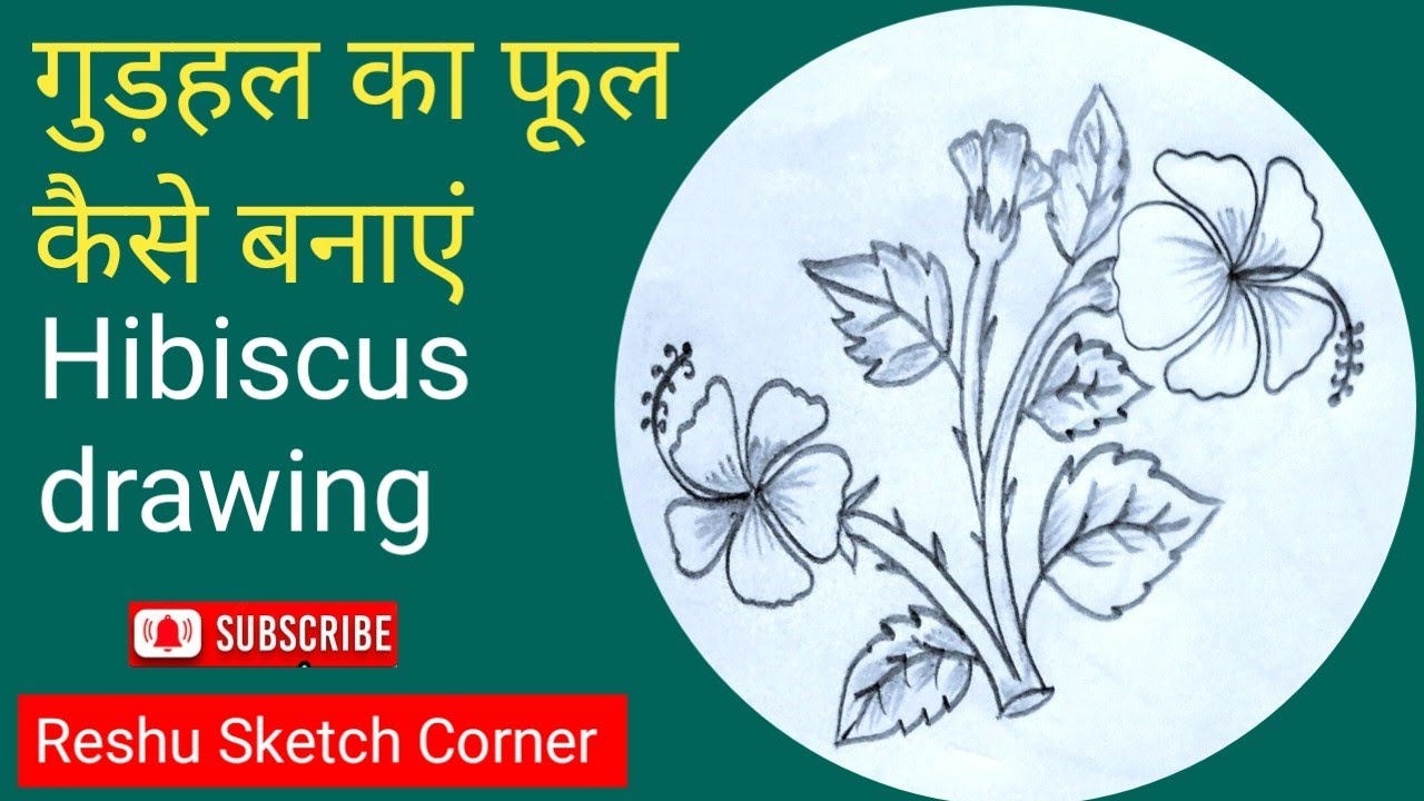 Gudhal ka Phool/Hibiscus Flower Drawing shading/Hibiscus Drawing.