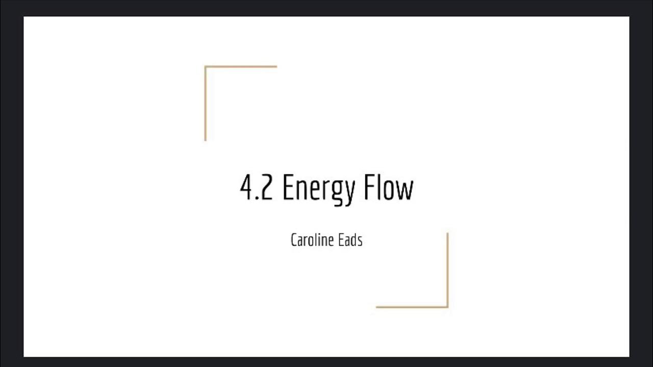 4.2 Energy Flow - YouTube